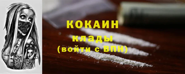 кокс Арсеньев