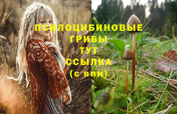 кокаин перу Алексеевка