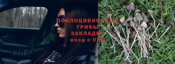 герыч Аркадак