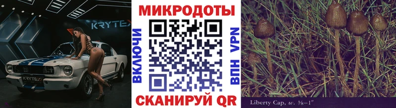 Псилоцибиновые грибы Magic Shrooms  что такое   Таруса 